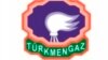 Berdimuhamedow nebit-gaz pudagyny döwrebaplaşdyrmagy talap edýär
