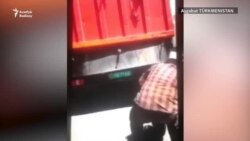 'Bogma güjügi!': Aşgabatda öýsüz it-pişikler awlanýar